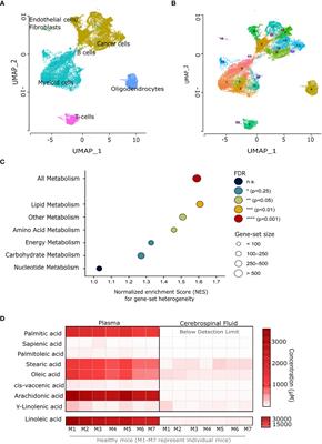 GBM tumors are heterogeneous in their fatty acid metabolism and modulating fatty acid metabolism sensitizes cancer cells derived from recurring GBM tumors to temozolomide